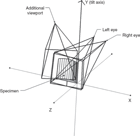 Fig. 4
Positions of viewports could be added to VisualSFM software.