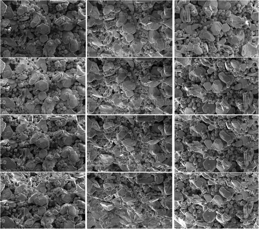 Fig. 5
SEM micrographs of Au sample used for the reconstruction of 3D images.