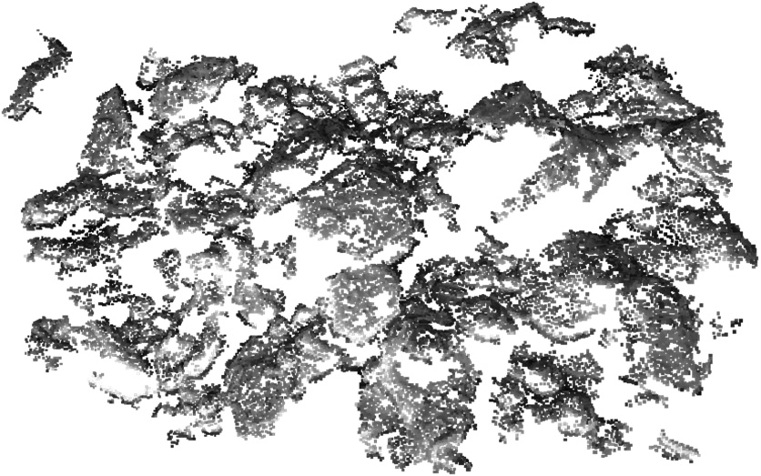 Fig. 6
3D gold surface point cloud reconstruction step.