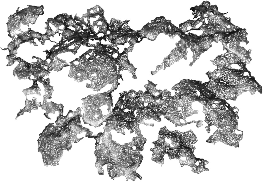 Fig. 7
3D gold surface mesh reconstruction step.