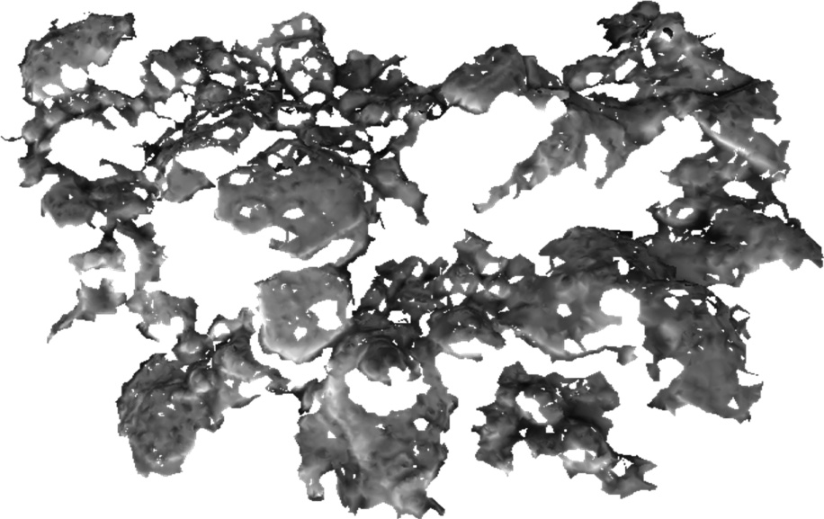 Fig. 8
3D gold surface reconstruction step.