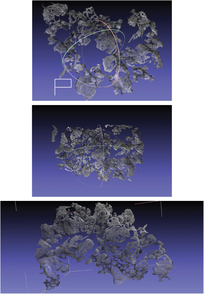 Fig. 9
Examples of different attempts to obtain 3D images of gold surface using spatial reconstruction approach.