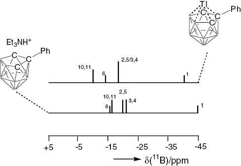 Fig. 2 
          Inter-comparison between δ(11B) NMR shifts for the [8-Ph-nido-7,8,9-C3B8H10]¯ (2¯) anions. Patterns for the Et3NH+ salt (lower traces) markedly differ from those for the Tl+ salt (upper traces) due to the Tl-C3B2 coordination. Assignments by [11B-11B]-COSY NMR measurements.
        