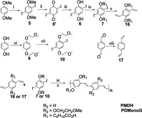 Fig. 2:
Synthesis of PMDH and PDMonoG. (i) I2, KIO3, AcOH/H2SO4/H2O, 81 % (ii) BBr3, DCM, 60 % (iii) Na2S2O3, Et2O, 97 % (iv) KOH, BrC5H10COOCH3, DMSO, 73 % (v) Pd(PPh3)4, vinyl tributyltin, DMF, 62 % (vi) 9 (KOH, KI, 1,4-hydroquinone, 2-bromomethyl ether, EtOH, 55 %), (vii) 10 (ICl, MeOH, 55 %), (viii) KtBuOH, methyltriphenylphosphonium bromide, dry THF, 63 %, (ix) Palladium acetate, tri-ortho-tolylphosphine, tributylamine, DMF, 65 % (x) 4M NaOH, THF, MeOH.