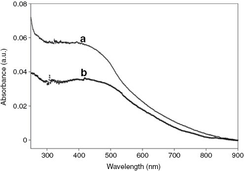 Fig. 3:
The UV-Visible spectra of (a) PMDH-MagSi and (b) PDMonoG-MagSi beads in Tris-HCl buffer.