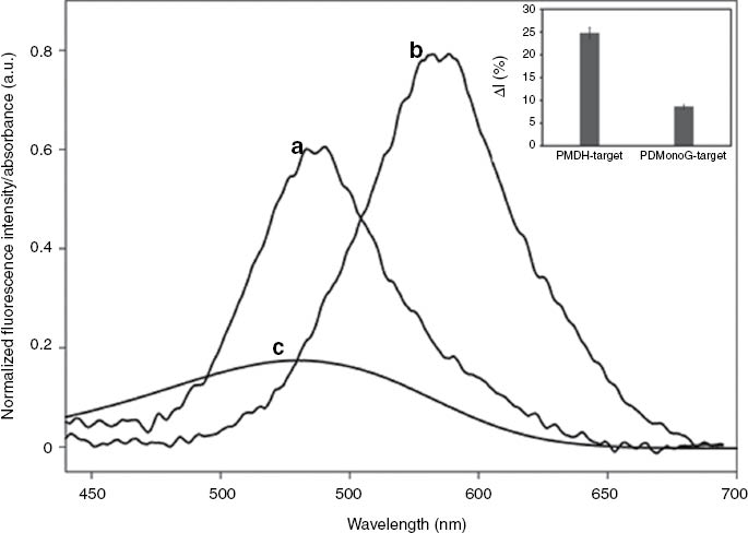 Fig. 4:
Normalized fluorescence spectra of PMDH-MagSi beads immobilized with tentacle probes (TP) (a), PDMonoG-MagSi beads immobilized with TP (b) in Tris-HCl buffer when excited at 400 nm and the UV-Visible absorption spectrum of the quencher BHQ-1 (c).
Spectra were normalized to PDMonoG-MagSi’s emission. Inset: Sensor response with PPVs bound to MagSi beads – PMDH-MagSi and PDMonoG-MagSi.