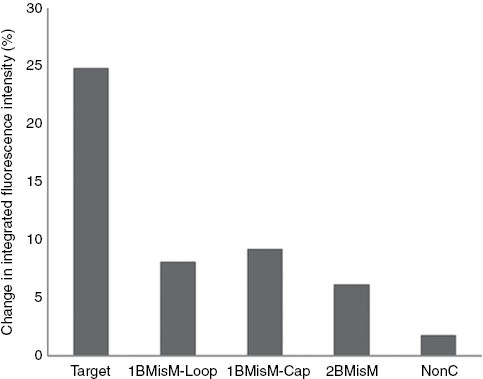 Fig. 5:
The sensor response expressed as the change in integrated fluorescence intensity (%) of PMDH-MagSi DNA sensor with (a) 1BMisM-loop, (b) 1BMisM-Cap and (c) 2BMisM in Tris-HCl buffer.