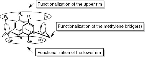 Fig. 1: 
          Positions of modifications of calix[4]arenes.
        