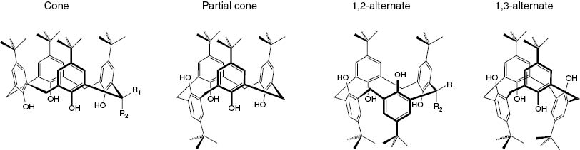 Fig. 2: 
          Conformations of tert-butyl-calix[4]arene 1.
        