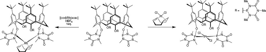 Scheme 2: 
          Synthesis of transition metal complexes [4].
        
