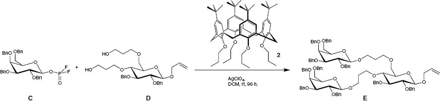 Scheme 3: 
          β-stereoselctive galactosylation of 3-(((2R,3R,4S,5R,6R)-6-(allyloxy)-4,5-bis(benzyloxy)-2-((3-hydroxypropoxy)methyl)tetrahydro-2H-pyran-3-yl)oxy)propan-1-ol (D) by cation-π-interactions.