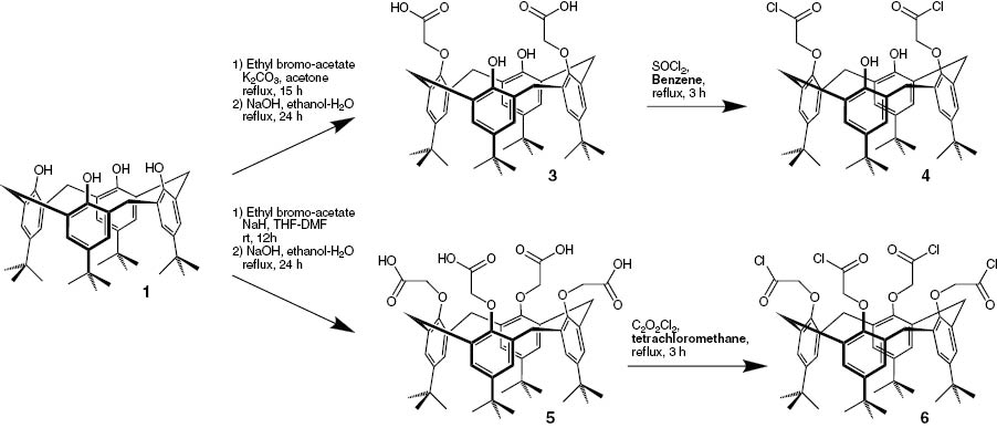 Scheme 5: 
              Synthesis of lower rim acids followed by the synthesis of the acid chlorides.