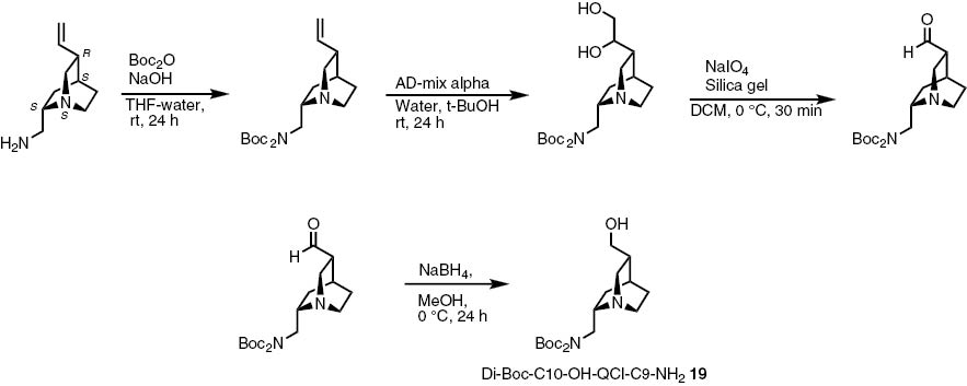 Scheme 7: 
              Synthesis of Boc-protected C10-hydroxy-QCI-C9-amine 19.
