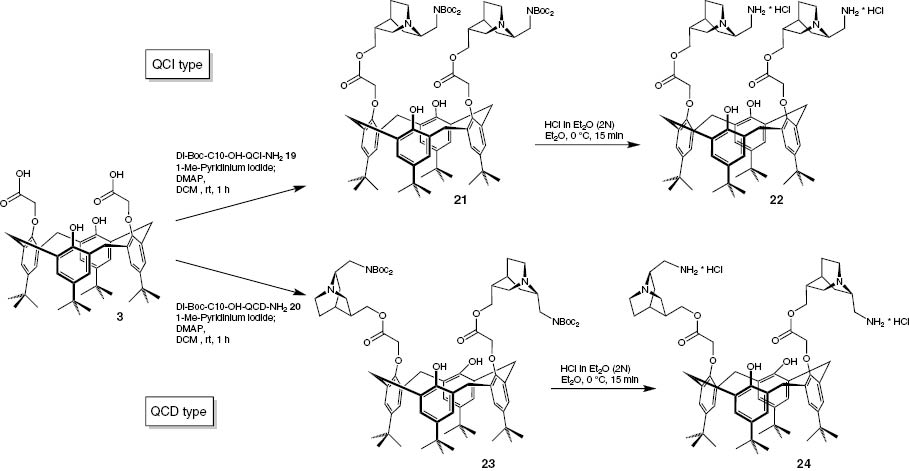 Scheme 8: 
              Synthesis of the C10-esters 21 and 23 and their N-deprotected products 22 and 24.