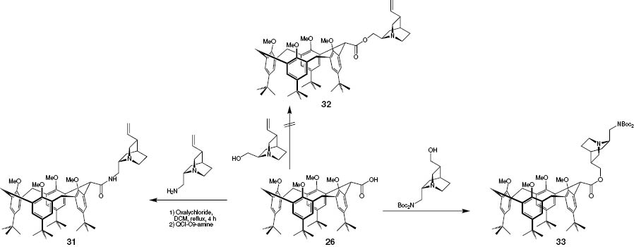 Scheme 10: 
              Examples of the synthesis of chiral ester and amides of the methylene-bridged-mono-acid.