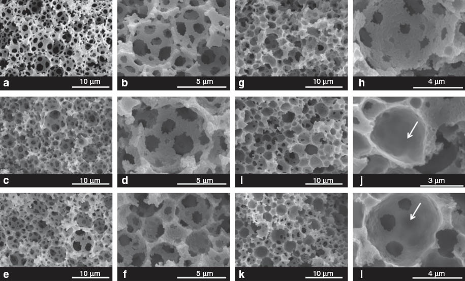 Fig. 1 
          SEM images of poly(MAA)-filled poly(St-co-DVB)HIPEs. (a,b) control sample (c); (c,d) 0% (M0); (e,f) 1% (M1); (g, h) 2% (M2); (i,j) 5% (M5); (k,l) 10% (M10). Arrows point at pore throats covered by hydrogels.
        