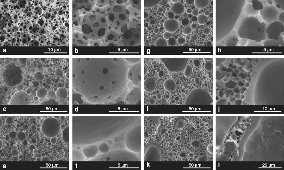 Fig. 2 
          SEM images of poly(DMAEMA) -filled poly(St- co-DVB)HIPEs. (a,b) control sample (c); (c,d) 0% (D0); (e, f) 1% (D1); (g,h) 2% (D2); (i,j) 5% (D5); (k,l) 10% (D10).
        