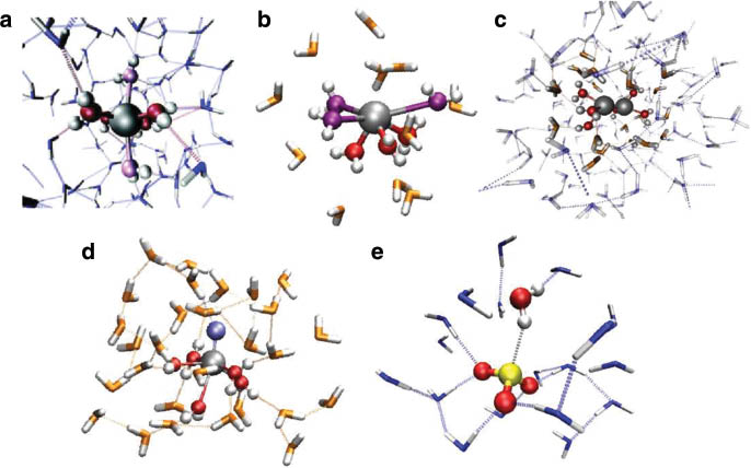Fig. 2 
          Snapshots obtained from QMCF MD simulations of (a) palladium(II), (b) germanium(II), (c) the dipositive dimeric mercury ion  (d) titanyl(IV), and (e) sulfite in aqueous solution.
        