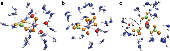 Fig. 5 
          Snapshots obtained from QMCF MD simulations of (a) uranyl(VI) carbonate, (b) uranyl(VI) dicarbonate, and (c) uranyl(VI) tricarbonate. In the latter case, hydrolysis of a water molecule coordinating to one of the carbonate ions accompanied with a proton transfer is observed, thereby increasing the charge of the complex.
        