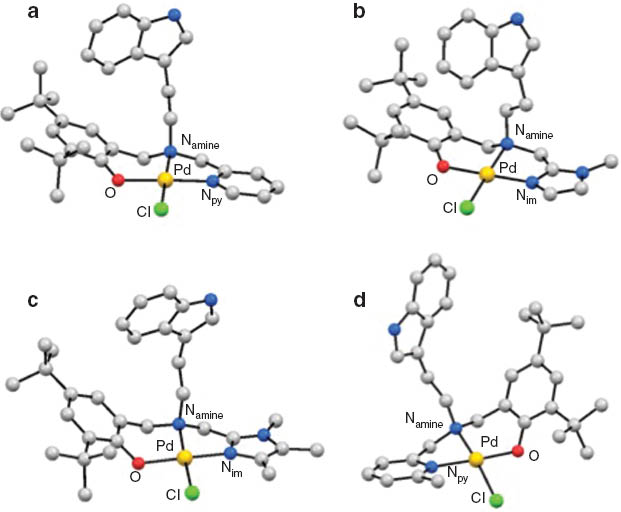 Fig. 2 
            Molecular structures of Pd(II)–phenolato complexes: (a) [Pd(iepp-O)Cl] (iepp-O), (b) [Pd(ieip-O)Cl] (ieip-O), (c) [Pd(Me3-ieip-O)Cl] (Me3-ieip-O), and (d) [Pd(Me-iepp-O)Cl] (Me-iepp-O).
          