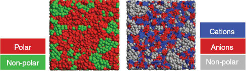 Fig. 2 
          MD simulation snapshot depicting two variants of color-coding for the representation of the nanosegregation between the polar network and the nonpolar domains in the [C4C1im][PF6] IL. In the right-side representation, “cations” and “anions” mean the high-charge density parts of the cations and anions, respectively, and “nonpolar” means the low-charge density regions of the ions (the alkyl side chains).
        