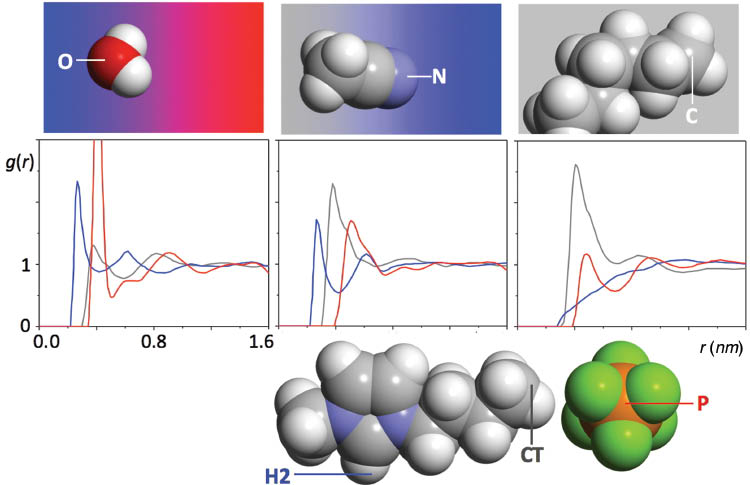 Fig. 5 
            Three representative types of solute and their relation to the nanostructures of an IL, as shown by their pair RDFs, g(r), between selected atoms of the solute (top) and atoms of the cation, anion, and alkyl-side chain of the IL (bottom). From left to right: associative solute (water) that interacts mainly with the polar network; dipolar solute (acetonitrile) that interacts at the polar–nonpolar interface; and nonpolar solute (n-hexane) that interacts mainly within the nonpolar domains. The RDF lines (from left to right) represent O-H2, N-H2, and C-H2 pairs (in blue); O-P, N-P, and C-P pairs (in red); and O-CT, N-CT, and C-CT pairs (in gray).
          