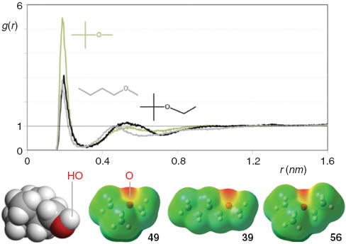 Fig. 11 
            Pair RDFs between the hydroxyl hydrogen atom (HO) of the [N1 1 8 2OH]+ cation and the oxygen atom (O) of tert-butyl methyl ether (green), tert-butyl ethyl ether (black) or n-butyl methyl ether (gray) in three (IL + ether) equimolar binary mixtures. The bottom ionic/molecular renderings show the cholinium cation (space-filled model) and electrostatic potentials mapped onto electron density isosurfaces obtained ab initio for the three ether molecules, where the positively and negatively charged regions of each molecule are indicated by color gradients ranging from cyan/green/yellow (slightly positive-neutral/slightly negative) to red (negative). The numbers at the side of each ether molecule indicate the atomic point charge (in percentage of electron charge units) assigned to the oxygen atom according to the ChelpG procedure.
          