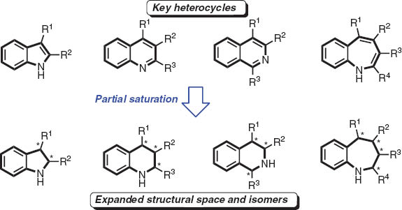 Fig. 1 Semi-saturation expands structural space of common nitrogen-containing heterocycles.