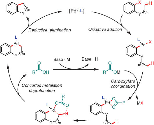 Scheme 1 Catalytic cycle for Pd(0)-catalyzed C–H functionalization with aryl halides.