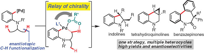 Scheme 2 Ligand and carboxylate cooperative effects enable high enantioselectivities in Pd(0)-catalyzed C–H functionalizations.