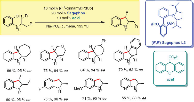 Scheme 5 Synthesis of indolines via enantioselective C(sp3)–H arylation.