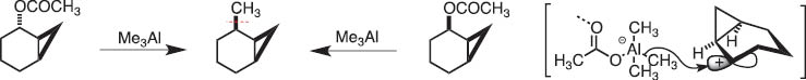 Scheme 1 Methylation of norcarenyl acetate with trimethylaluminum.