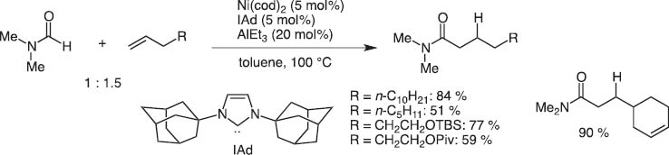 Scheme 14 Hydrocarbamoylatin of terminal alkenes with DMF.