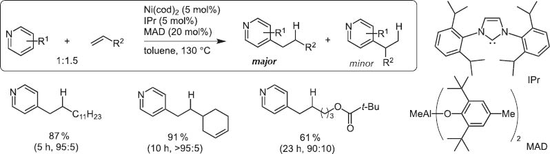 Scheme 15 Normal alkylation of pyridines with terminal alkenes.