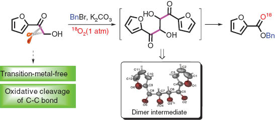 Scheme 1 Non-metal-mediated aerobic oxidative C−C bond cleavage.