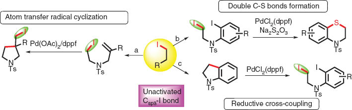 Scheme 2 Reactions of unactivated Csp3−I.