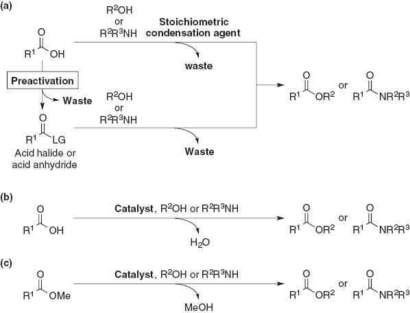 Fig. 1 Esterifications and amidations: (a) general method for synthesis of esters and amides from carboxylic acids; (b) catalytic condensation of carboxylic acids with alcohols or amines; (c) catalytic transesterification or ester-amide exchange reaction.