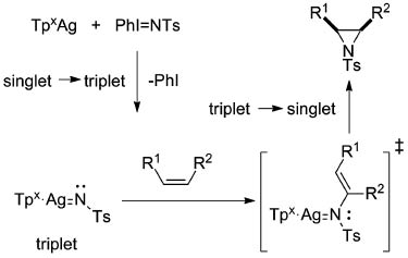 Fig. 4 Proposed mechanism for Ag(I)-catalyzed amination of alkenes invoking nitrene intermediates [13].