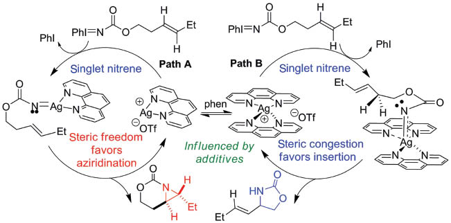 Fig. 5 Proposed mechanism for Ag-nitrene aziridination and amination controlled by the metal-ligand ratio [15].