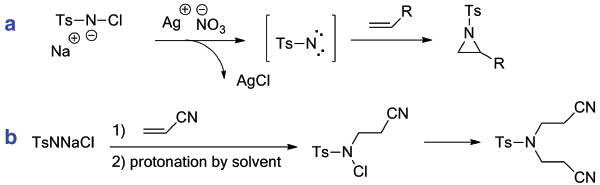 Scheme 1 Reactions of olefins with chloramine-T [3]. a. Silver-catalyzed aziridination. b. Addition of chloramine-T to acrylonitrile in the absence of a silver salt.