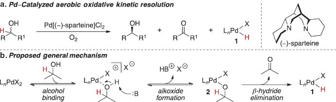 Scheme 1 Pd-catalyzed aerobic oxidative kinetic resolution and proposed general mechanism.