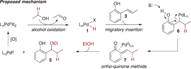 Scheme 3 Proposed mechanism for the Pd-catalyzed hydroethoxylation of ortho-propenyl phenol.