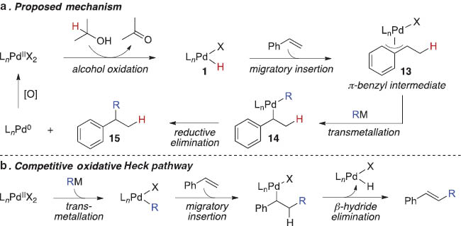 Scheme 6 (a) Mechanistic rationale for the proposed hydroarylation of styrene. (b) Mechanistic rationale for a competitive oxidative Heck reaction.