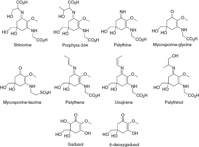 Fig. 1: 
          Chemical structures of some relevant MAAs and gadusols.
        