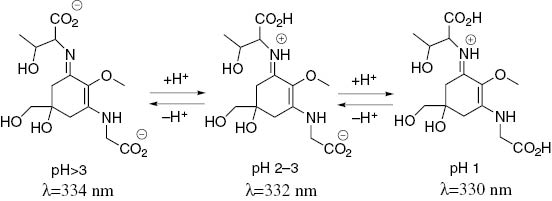 Fig. 2: 
              Molecular structures of porphyra-334 at different pH values.
            