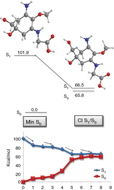 Fig. 6: 
          Critical points along the potential energy surface and MEP for the palythine protonated form. Energies in kcal mol−1 relative to ground state minimum. Sampedro, D. Phys. Chem. Chem. Phys. 2011, 13, 5584. Reproduced by permission of the PCCP Owner Societies.
        