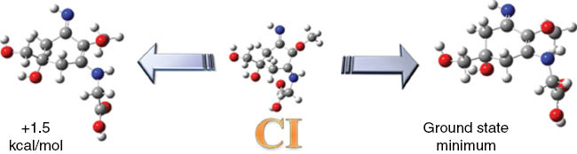 Fig. 7: 
          S1/S0 conical intersection geometry and conformers obtained after ground state relaxation for the palythine neutral form. Sampedro, D. Phys. Chem. Chem. Phys. 2011, 13, 5584. Reproduced by permission of the PCCP Owner Societies.
        