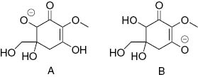 Fig. 8: 
          Computed anionic species for gadusol.
        