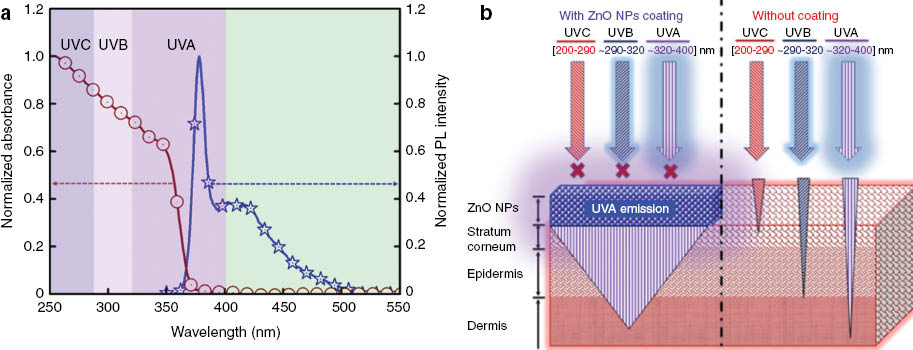 Fig. 3:
a) Illustrates the absorption and emission spectra of C-ZnO NPs, b) schematics show the penetration of intense UVA emission from C-ZnO NPs to dermis and penetration of UVC, UVB and UVA without sunscreen.