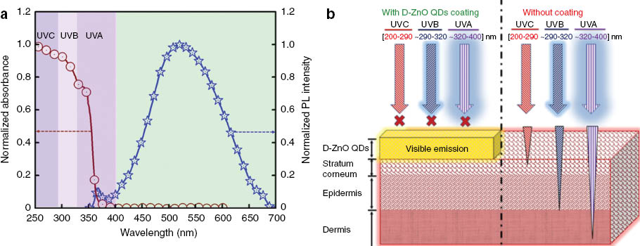 Fig. 4:
a) Illustrates the absorption and emission spectra of D-ZnO QDs, b) schematics showing the UV attenuation in the presence of D-ZnO QDs as a sunscreen and penetration of UVC, UVB and UVA without sunscreen.